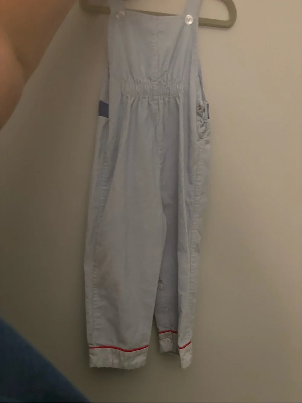 Light Blue Puppy Embroidered Kids Overalls